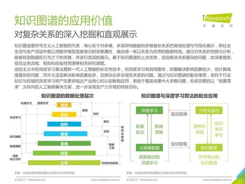 2020年中國面向人工智能新基建的知識圖譜行業白皮書 人工智能基礎軟件開發