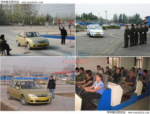 石家莊大眾駕校 專(zhuān)業(yè)的機(jī)動(dòng)車(chē)駕駛員培訓(xùn)伙伴